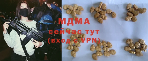 прущие грибы Вязники