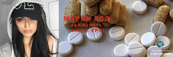 прущие грибы Вязники