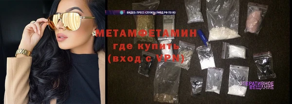 прущие грибы Вязники