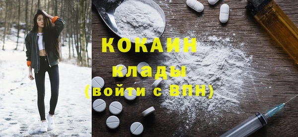 мдпв Вяземский