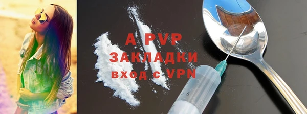прущие грибы Вязники