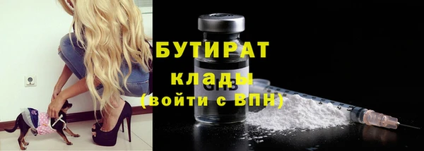 мдпв Вяземский
