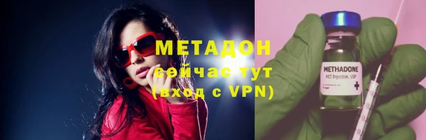 прущие грибы Вязники