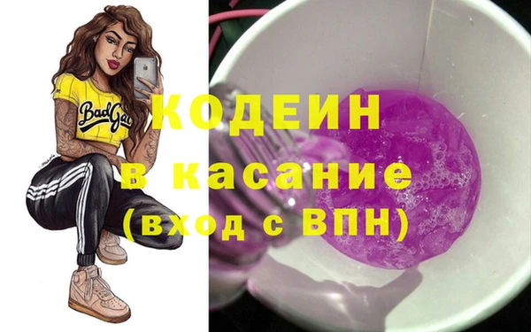 прущие грибы Вязники