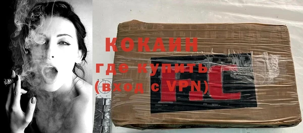 прущие грибы Вязники