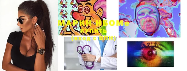 прущие грибы Вязники