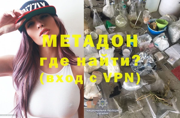 прущие грибы Вязники
