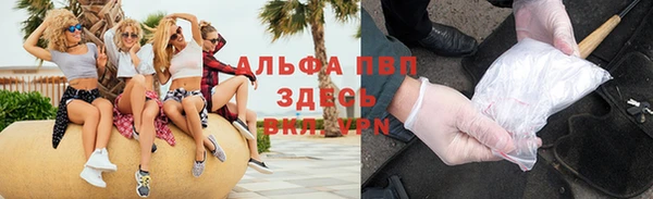 прущие грибы Вязники